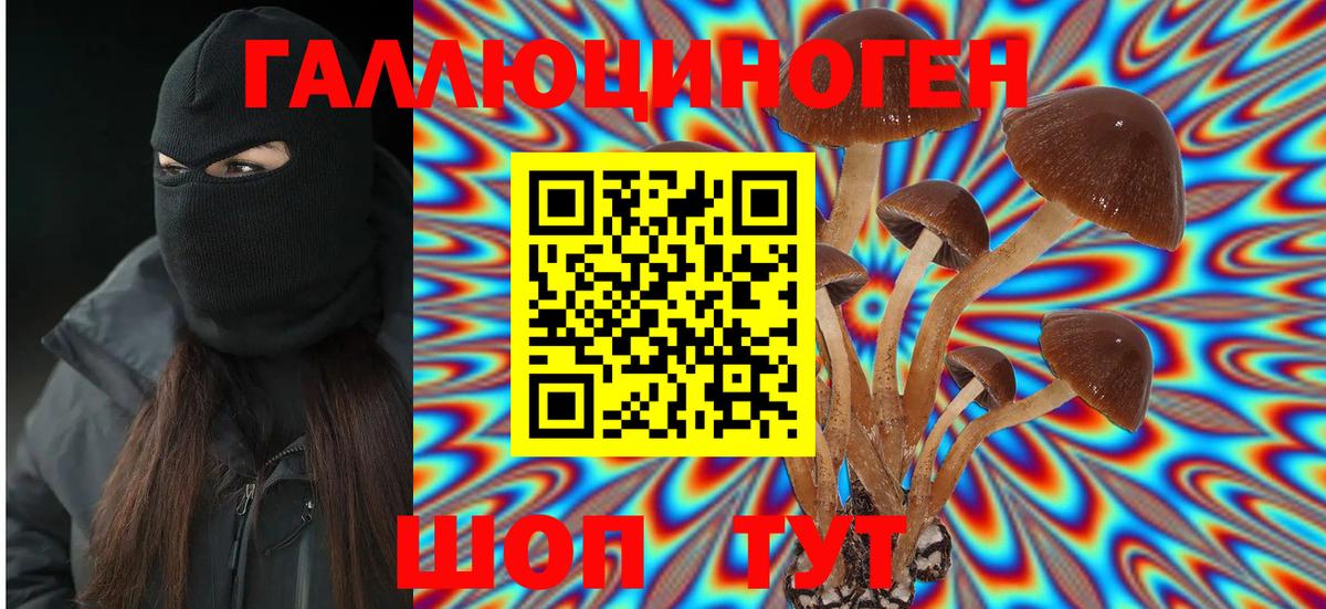 Галлюциногенные грибы Cubensis  Вход с VPN  где найти наркотики  Россия 